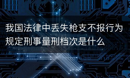 我国法律中丢失枪支不报行为规定刑事量刑档次是什么