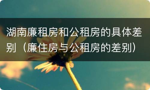 湖南廉租房和公租房的具体差别（廉住房与公租房的差别）