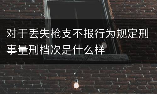 对于丢失枪支不报行为规定刑事量刑档次是什么样