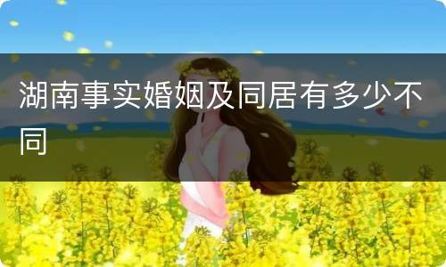 湖南事实婚姻及同居有多少不同
