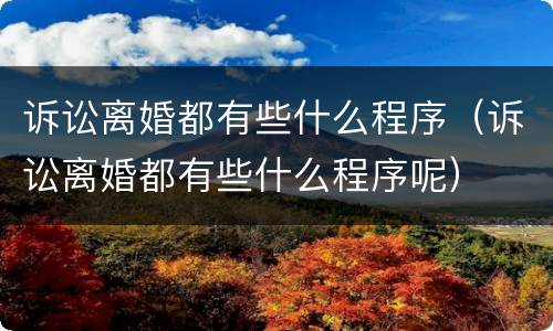 诉讼离婚都有些什么程序（诉讼离婚都有些什么程序呢）
