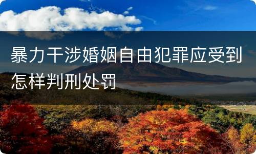 暴力干涉婚姻自由犯罪应受到怎样判刑处罚