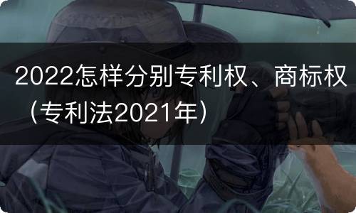 2022怎样分别专利权、商标权（专利法2021年）