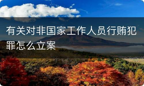 有关对非国家工作人员行贿犯罪怎么立案