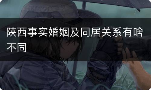 陕西事实婚姻及同居关系有啥不同