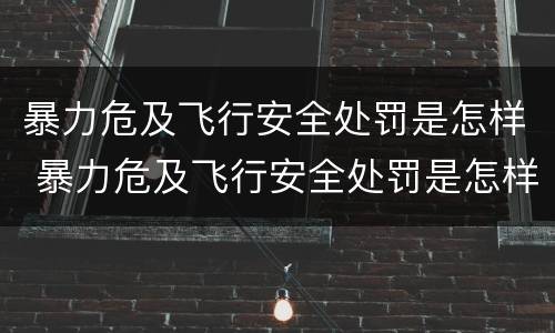 暴力危及飞行安全处罚是怎样 暴力危及飞行安全处罚是怎样形成的