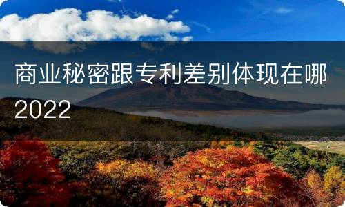 商业秘密跟专利差别体现在哪2022