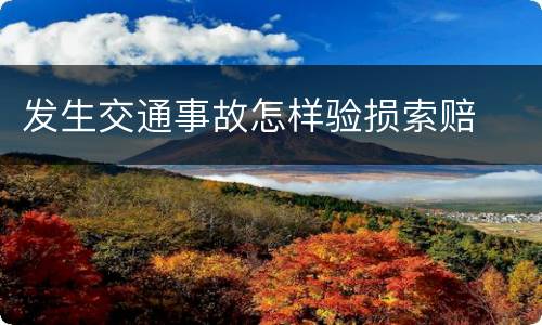 发生交通事故怎样验损索赔