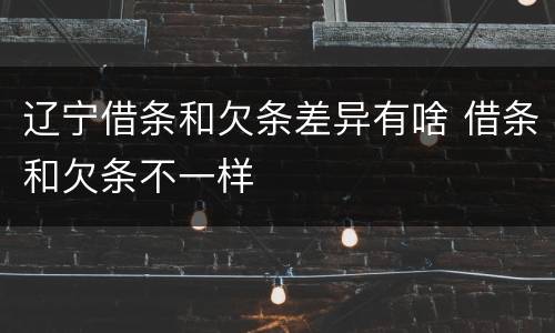 辽宁借条和欠条差异有啥 借条和欠条不一样