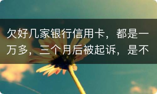 欠好几家银行信用卡，都是一万多，三个月后被起诉，是不是要判刑了