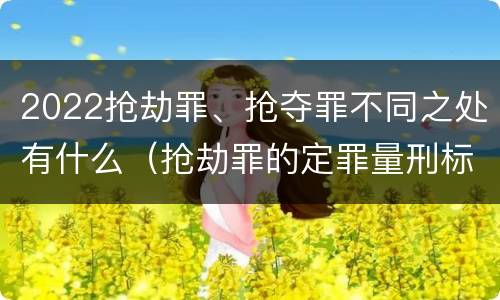 2022抢劫罪、抢夺罪不同之处有什么（抢劫罪的定罪量刑标准）