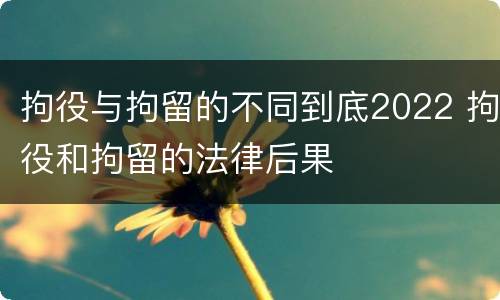 拘役与拘留的不同到底2022 拘役和拘留的法律后果
