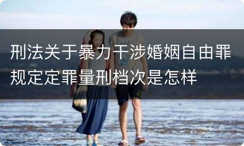 刑法关于暴力干涉婚姻自由罪规定定罪量刑档次是怎样