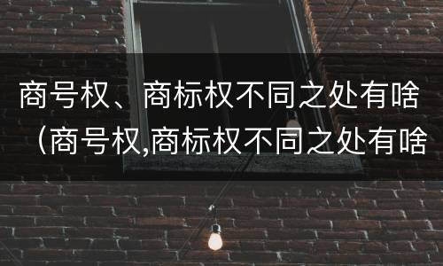 商号权、商标权不同之处有啥（商号权,商标权不同之处有啥区别）