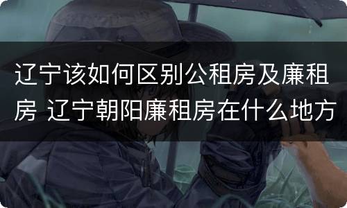 辽宁该如何区别公租房及廉租房 辽宁朝阳廉租房在什么地方