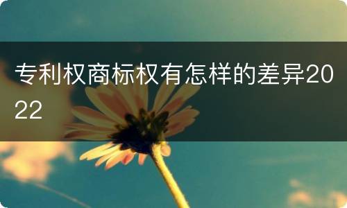 专利权商标权有怎样的差异2022