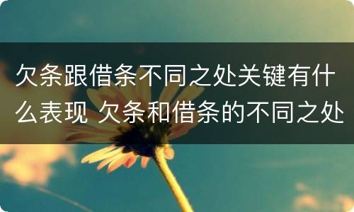 欠条跟借条不同之处关键有什么表现 欠条和借条的不同之处