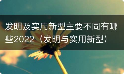 发明及实用新型主要不同有哪些2022（发明与实用新型）