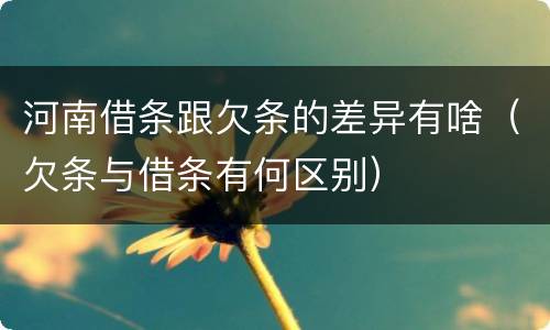 河南借条跟欠条的差异有啥（欠条与借条有何区别）