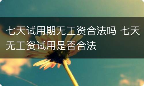 七天试用期无工资合法吗 七天无工资试用是否合法