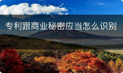 专利跟商业秘密应当怎么识别