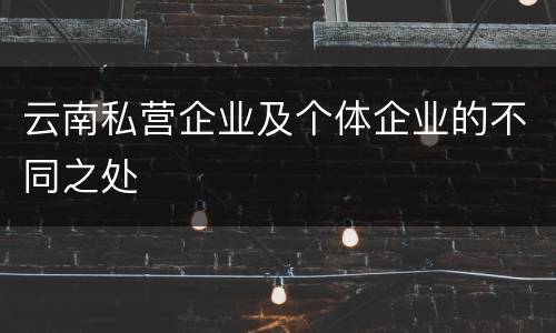 云南私营企业及个体企业的不同之处