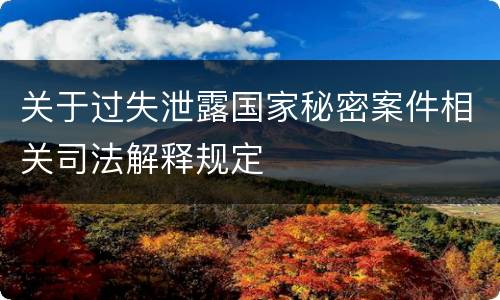 关于过失泄露国家秘密案件相关司法解释规定