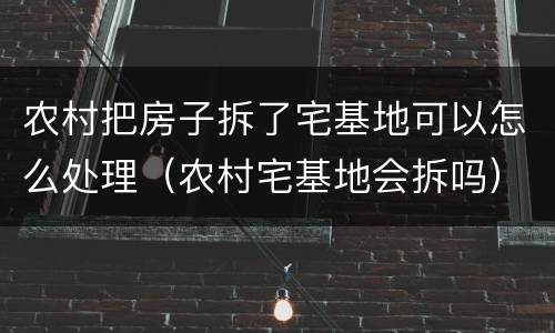 农村把房子拆了宅基地可以怎么处理（农村宅基地会拆吗）