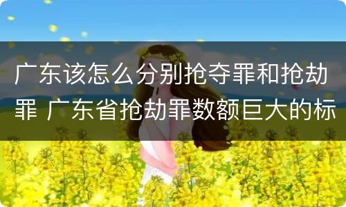 广东该怎么分别抢夺罪和抢劫罪 广东省抢劫罪数额巨大的标准