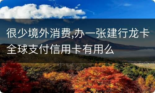 很少境外消费,办一张建行龙卡全球支付信用卡有用么