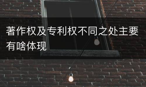 著作权及专利权不同之处主要有啥体现