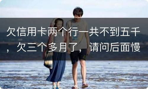 欠信用卡两个行一共不到五千，欠三个多月了，请问后面慢慢还还会起诉吗