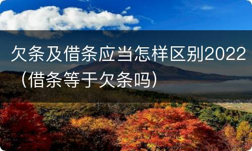 欠条及借条应当怎样区别2022（借条等于欠条吗）
