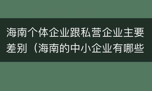海南个体企业跟私营企业主要差别（海南的中小企业有哪些）
