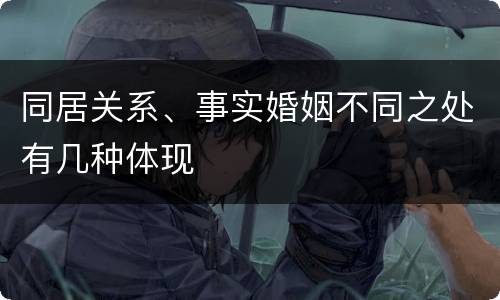 同居关系、事实婚姻不同之处有几种体现