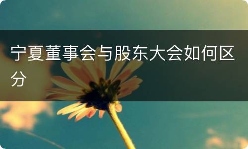 宁夏董事会与股东大会如何区分