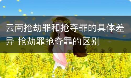 云南抢劫罪和抢夺罪的具体差异 抢劫罪抢夺罪的区别