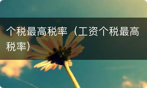 个税最高税率（工资个税最高税率）