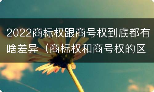 2022商标权跟商号权到底都有啥差异（商标权和商号权的区别）