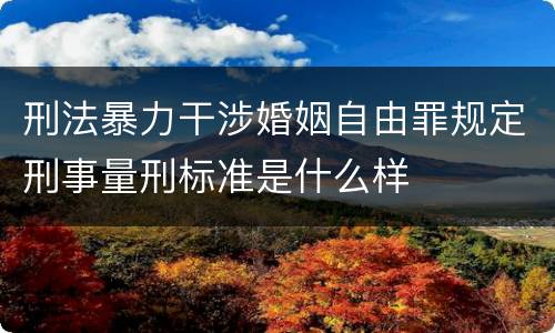刑法暴力干涉婚姻自由罪规定刑事量刑标准是什么样