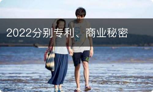2022分别专利、商业秘密