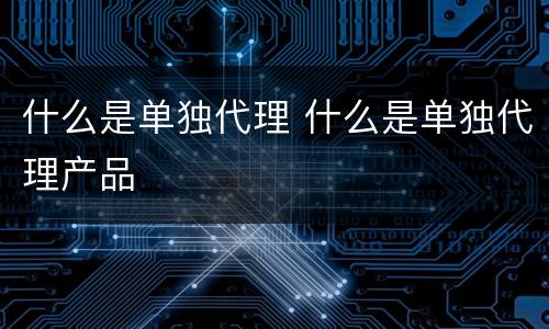 什么是单独代理 什么是单独代理产品