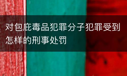 对包庇毒品犯罪分子犯罪受到怎样的刑事处罚