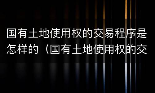 国有土地使用权的交易程序是怎样的（国有土地使用权的交易程序是怎样的法律规定）