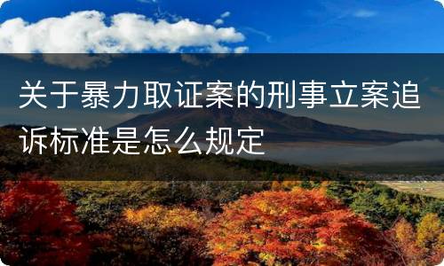 关于暴力取证案的刑事立案追诉标准是怎么规定