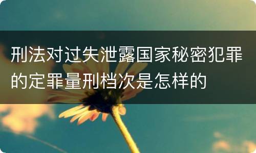 刑法对过失泄露国家秘密犯罪的定罪量刑档次是怎样的