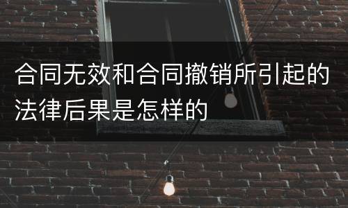 合同无效和合同撤销所引起的法律后果是怎样的