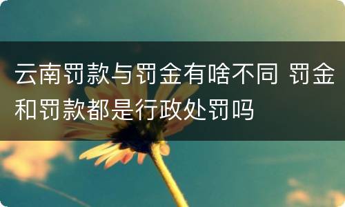 云南罚款与罚金有啥不同 罚金和罚款都是行政处罚吗