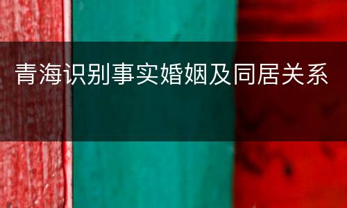 青海识别事实婚姻及同居关系