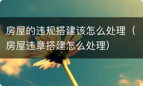 房屋的违规搭建该怎么处理（房屋违章搭建怎么处理）